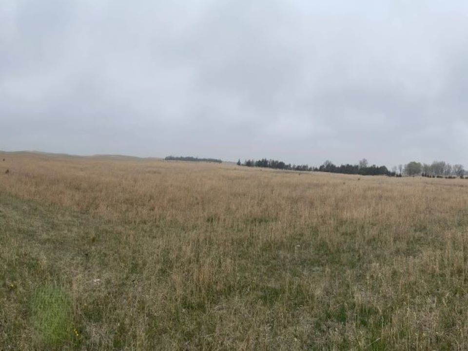 Listing Photo: holt-county-ne-400-acres-pasture